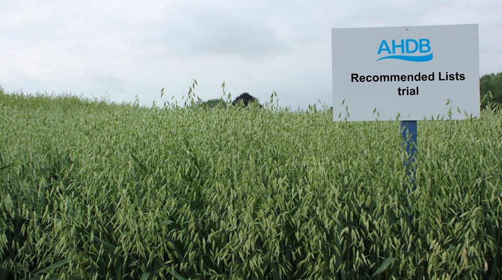 A Recommended Lists sign in a plot of oats 